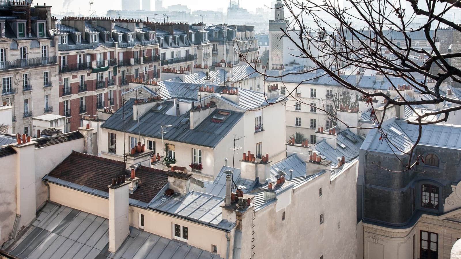 Toits de zinc en enfilade, lucarnes et souches de cheminées, sous une lumière d'hiver, Paris
